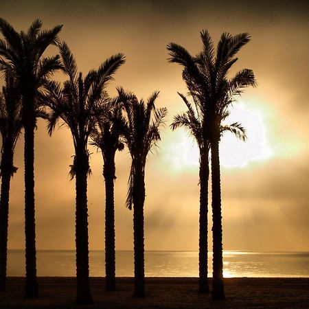 Apartamentos Estrella De Mar ロケタス・デ・マル エクステリア 写真