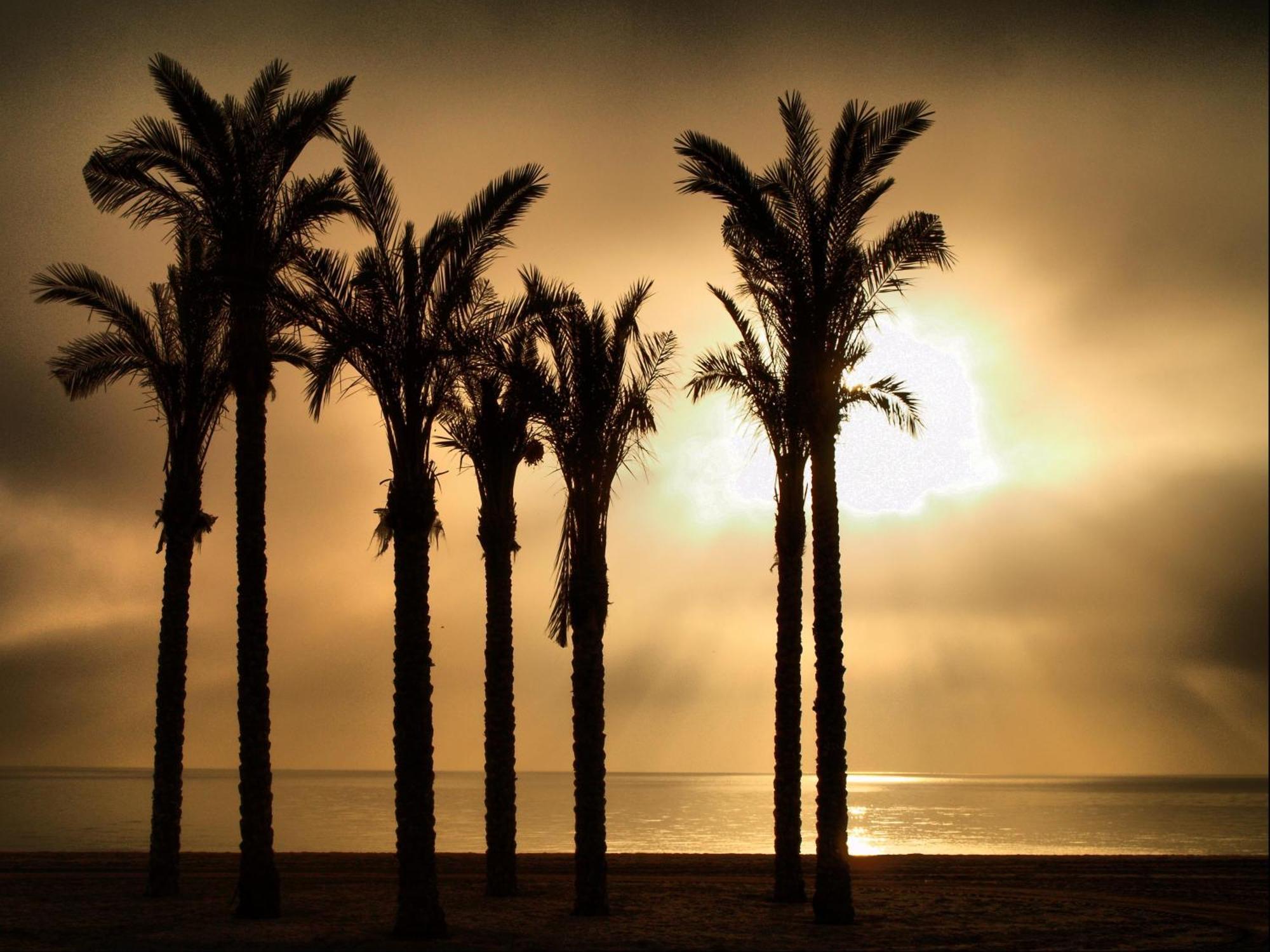 Apartamentos Estrella De Mar ロケタス・デ・マル エクステリア 写真